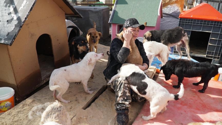 İngilizce Öğretmenliğini Bırakıp, 400 Felçli ve Engelli Köpeğe Annelik Yapan Kadın: Reyhan Avcı Karagözler