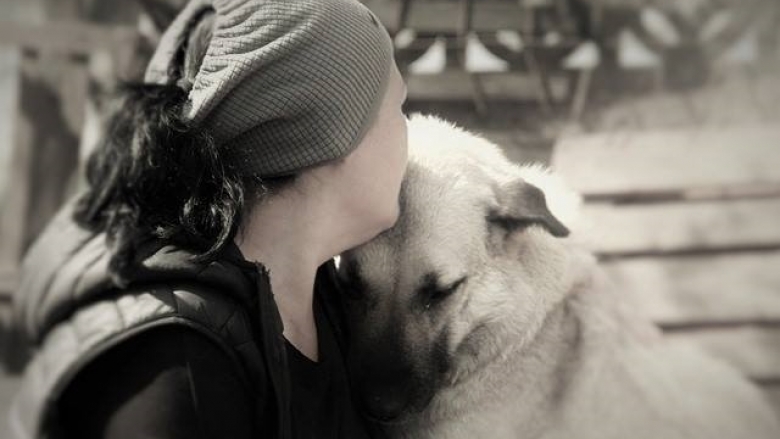 İngilizce Öğretmenliğini Bırakıp, 400 Felçli ve Engelli Köpeğe Annelik Yapan Kadın: Reyhan Avcı Karagözler