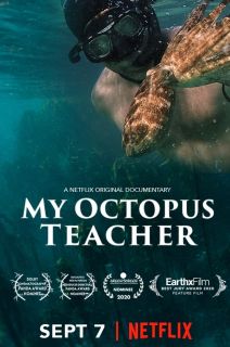 Ahtapottan Öğrendiklerim - My Octopus Teacher My Octopus Teacher (2020)