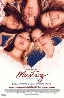 Mustang - Mustang Mustang (2015)